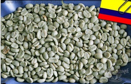 咖啡生豆-哥倫比亞/popayan 1kg裝